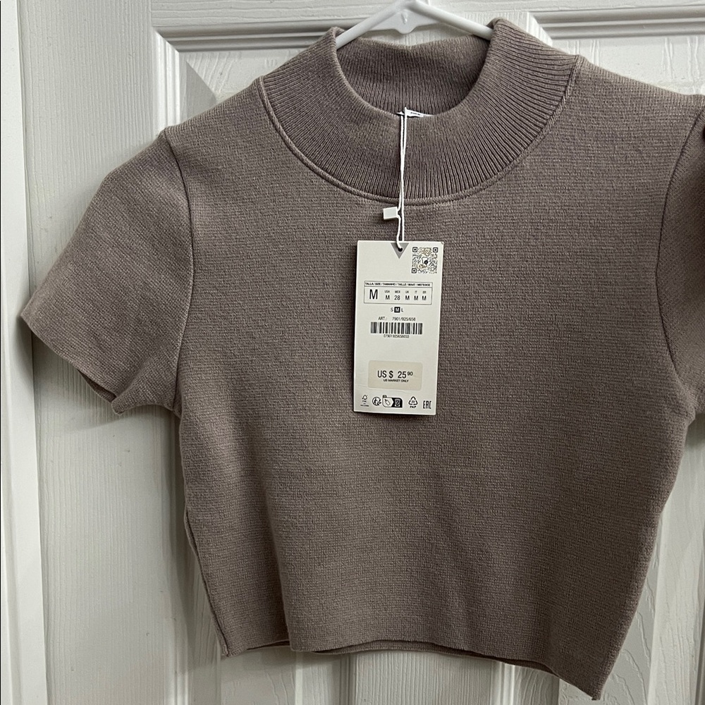 Zara Taupe Short Sleeve Ribbed Crop Top